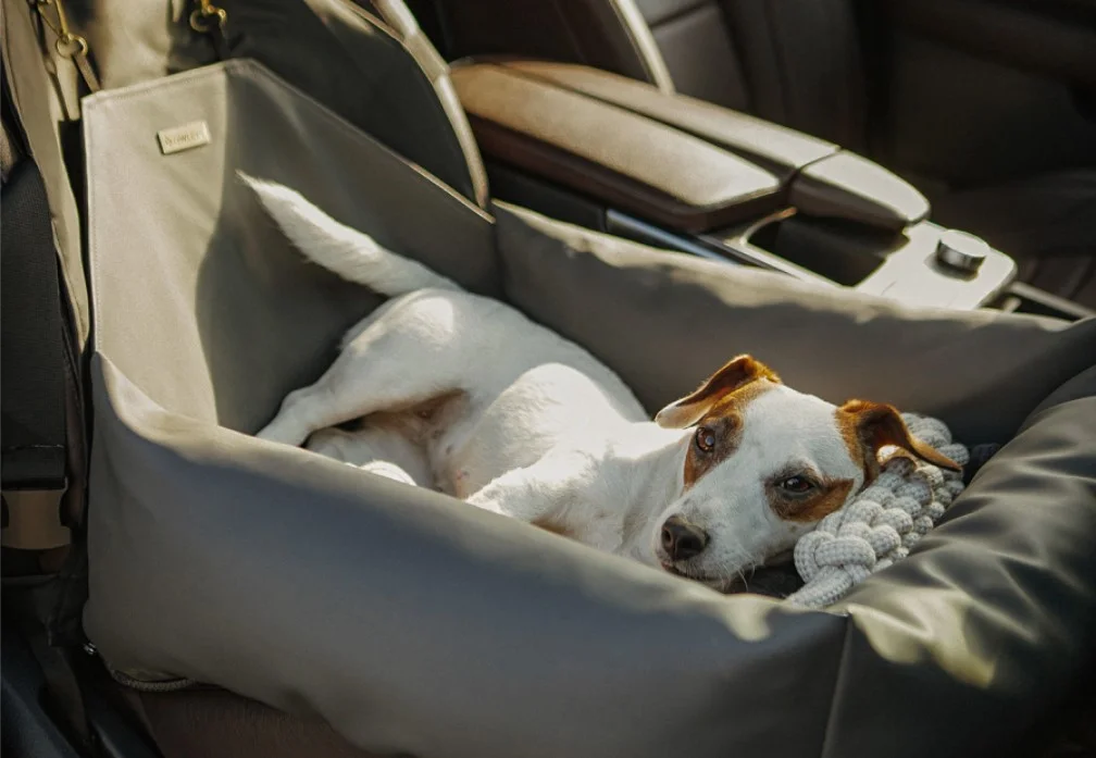 Nissan Murano Dog Car Seat for Cocker Spaniels