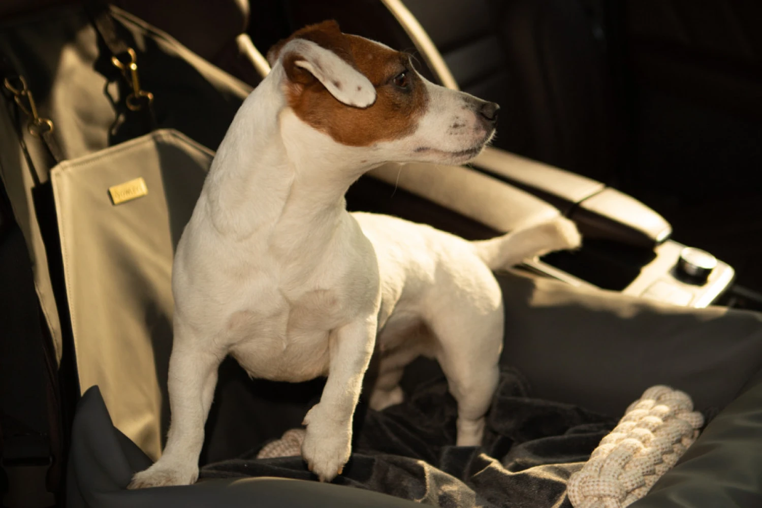 Volkswagen Golf Dog Car Seat for Russell Terriers