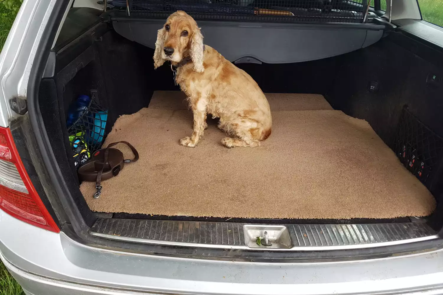 Nissan Murano Dog Car Seat for Cocker Spaniels