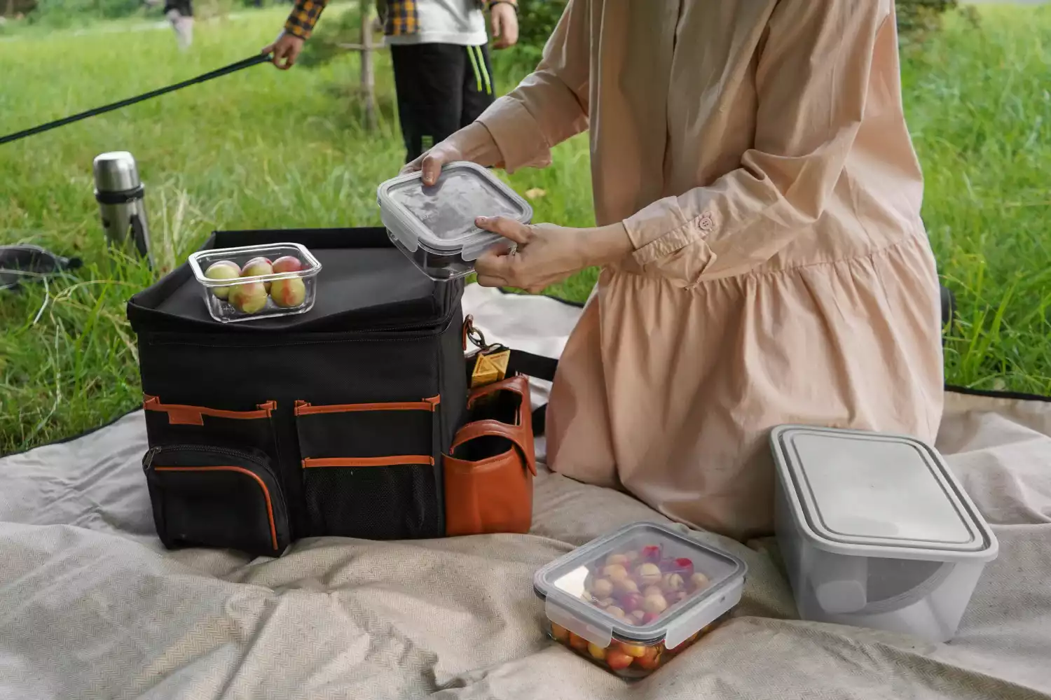 Toyota Tacoma trunk organizer