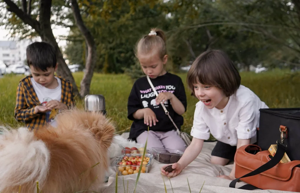 small fold up picnic blanket