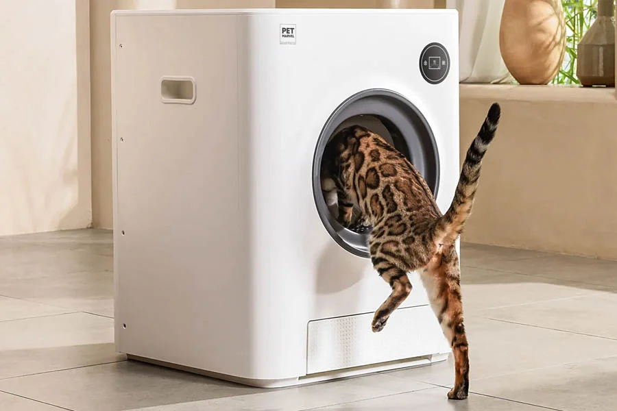 best self cleaning cat litter boxes